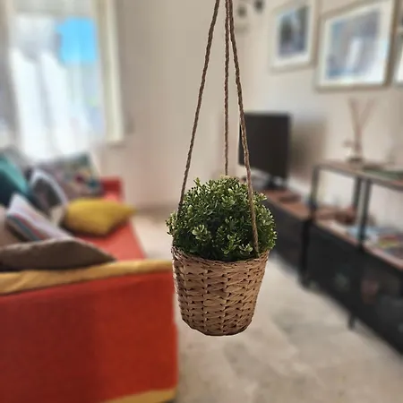 Ledolciterme Apartment